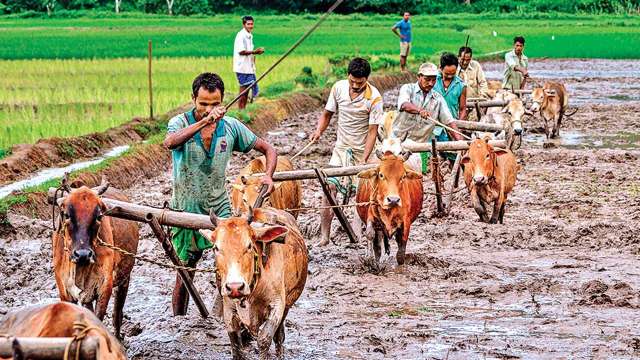 Farmers-pti