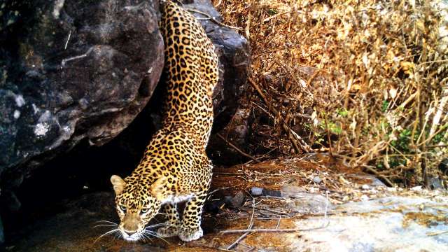 Representational image