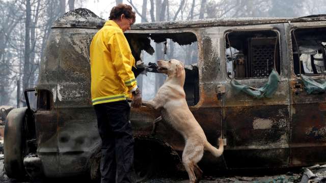 Karen Atkinson, of Marin, searches for human remains with her cadaver dog, Echo