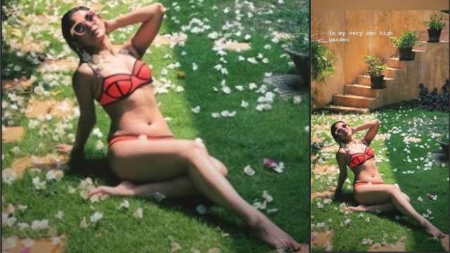 Jennifer winget hot store bikini