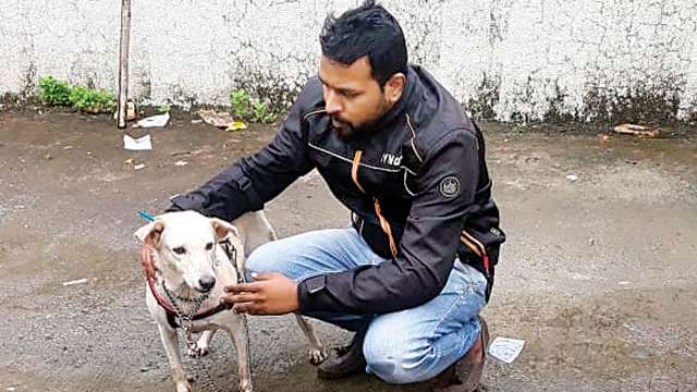640px x 360px - Mumbai: Animal lover tracks down perv who forced dog into oral sex ...