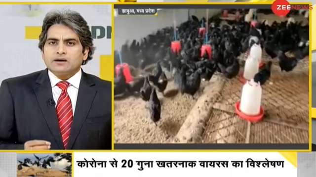 dna special how avian flu is 20 times more dangerous than covid 19