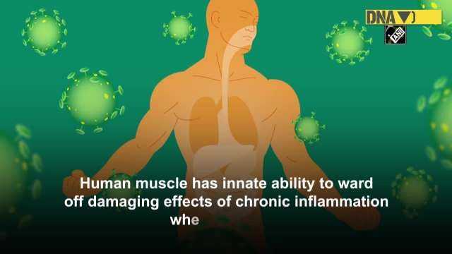 Study Finds Exercising Could Combat Chronic Inflammation