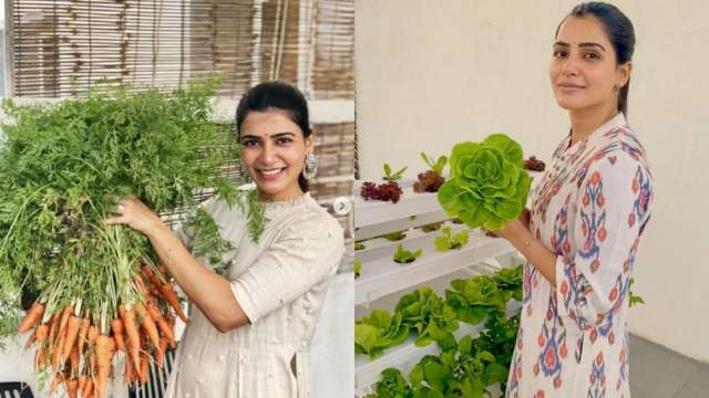 Step inside Samantha Akkineni's luxurious Hyderabad home featuring in-house  pool and vertical kitchen garden, see pics - Hindustan Times