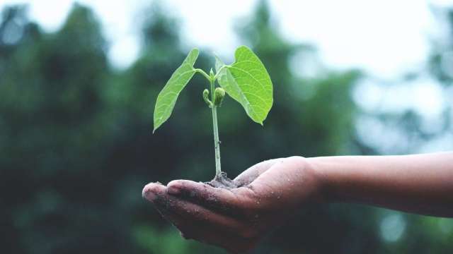 World Environment Day 21 History Theme Significance Quotes You Can Send World Environment Day 21 History Theme Significance Quotes You Can Send
