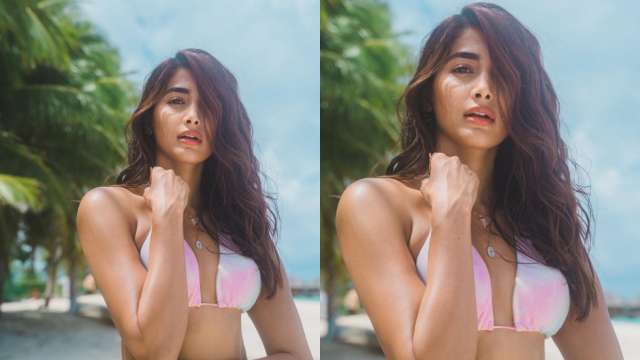 Pooja Hegde sets internet on fire in multi-coloured bikini top, shares jaw-dropping pic - Vimarsana News
