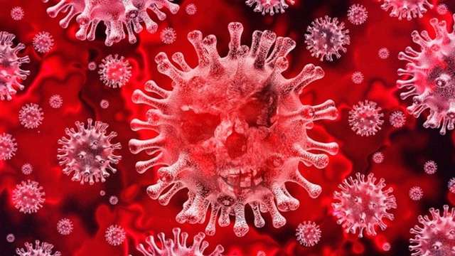 Omicron likely has genetic material from SARS-CoV-2 and common cold viruses: Study - Vimarsana News