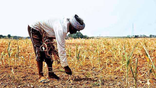 PM Kisan Scheme: Farmers to get 10th installment tomorrow? - Vimarsana News