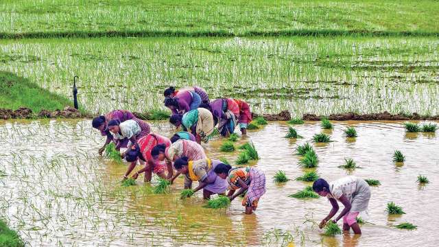 Alert! 10th installment of PM Kisan will not arrive without e-KYC; here's how to check - Vimarsana News