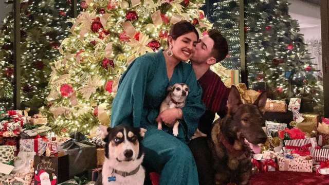 Priyanka Chopra blushes as husband Nick Jonas kisses her on cheek in their adorable Christmas photo - Vimarsana News