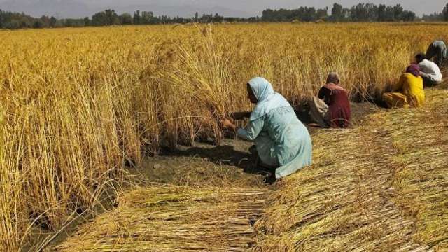 PM Kisan: Didn't receive 10th installment? Here's what you should do - Vimarsana News
