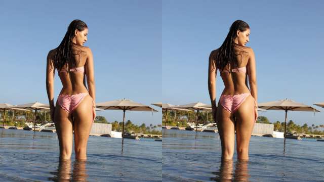 Disha Patani flaunts her sexy curves in pink bikini, drops drool-worthy photo on Instagram