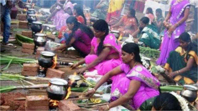 Pongal 2022: Know history, significance and important dates of the Tamil Harvest festival - Vimarsana News