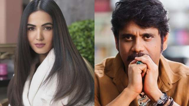 Sonal Chauhan to play lead opposite Nagarjuna in 'The Ghost'? Find out - Vimarsana News