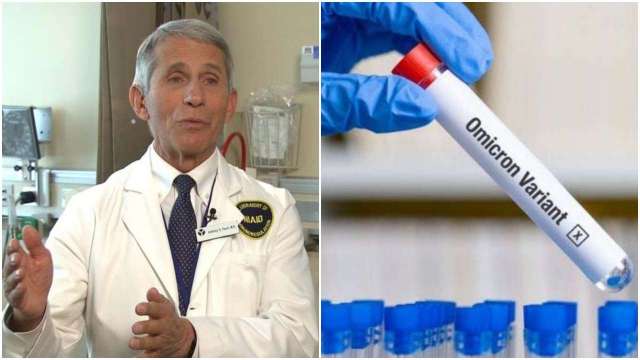Will Omicron variant of Covid-19 end the pandemic? Top US scientist Anthony Fauci says THIS - Vimarsana News