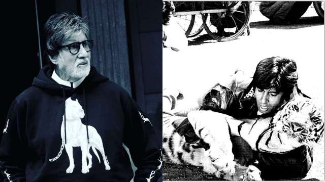 Amitabh Bachchan recalls when he fought with real tiger in 'Khoon Pasina' - Vimarsana News