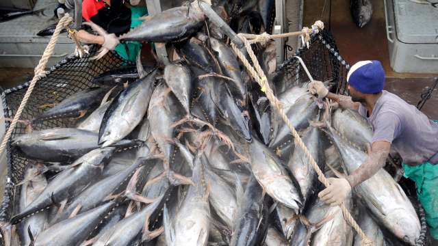 VIRAL: Fishermen get lucky, catch rare species of fish worth Rs 2 crore