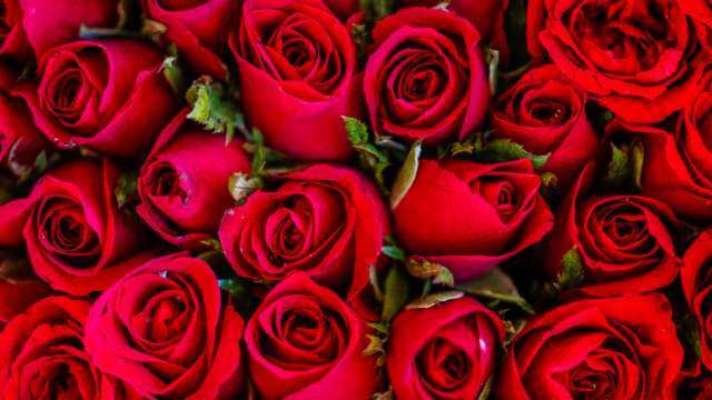 Happy Rose Day 2022: 5 beautiful bouquets you can gift your loved ones