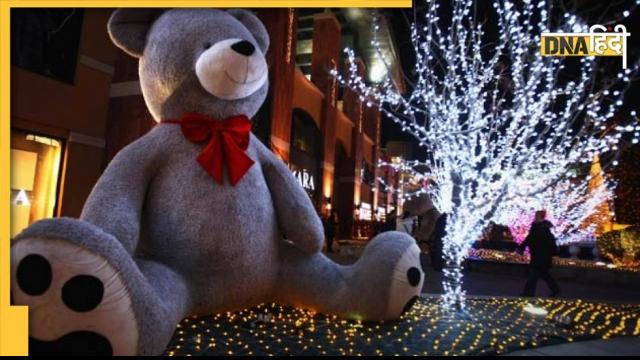 Teddy Day Special: टेडी बियर के हर रंग का होता है खास मतलब, गिफ्ट करने से पहले जरूर जान लें