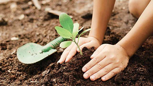 Delhi to plant one lakh saplings under 'Green India Challenge' - Vimarsana News