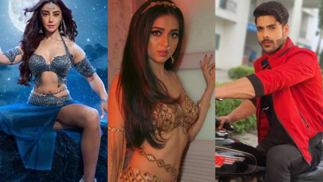 Urvashi Hot Big Xxx - Naagin 6': From Tejasswi Prakash, Simba Nagpal to Urvashi Dholakia, know  WHOPPING fees these actors are charging