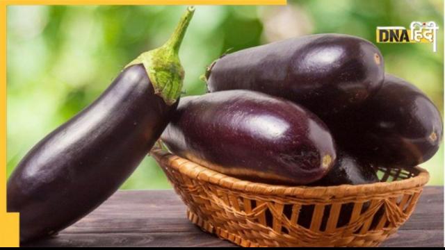 brinjal