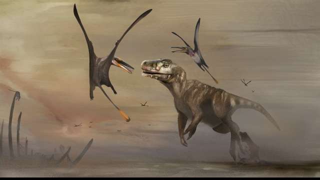 Meet Pterosaur, world's biggest mid-Jurassic flying animal found in Scotland - Vimarsana News