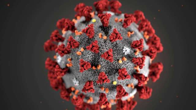Covid 4th wave: WHO warns about new mutant strain XE, hybrid of three variants - Vimarsana News