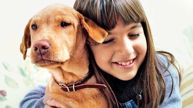 Pet Coat Care: Grooming the Inside and Outside - Vimarsana News