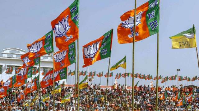 BJP Claims 33 Of 36 Seats In Resounding Victory, SP Comes Up Empty ...