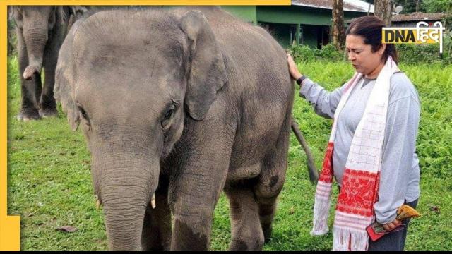 Meenakshi Lekhi Elephant Safari