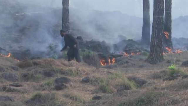 Forest fire continues to rage in J-K's Udhampur area, villagers fear it might spread to residential areas - Vimarsana News