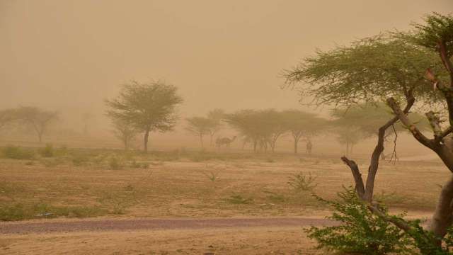 Weather update: Dust storm likely over Punjab, Haryana, Delhi, West UP, North Rajasthan today - Vimarsana News