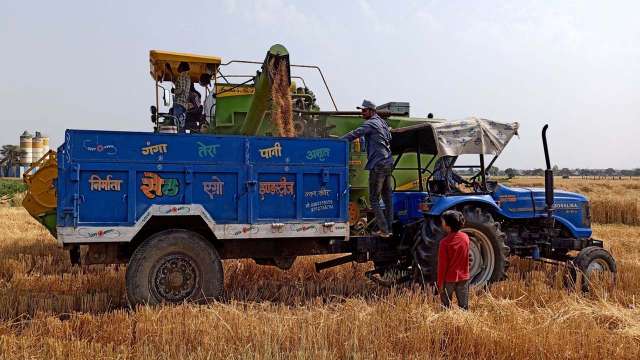 DNA Explainer: Why India has banned wheat export, the cause and effect - Vimarsana News