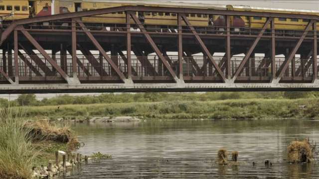 Yamuna ‘almost dried up’, water crisis to worsen in Delhi - DNA India