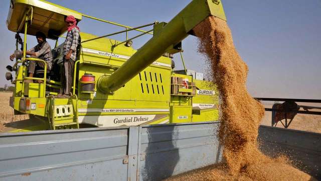 Climate change, Russia-Ukraine war leading to wheat deficiency in India, the possible solutions - Vimarsana News