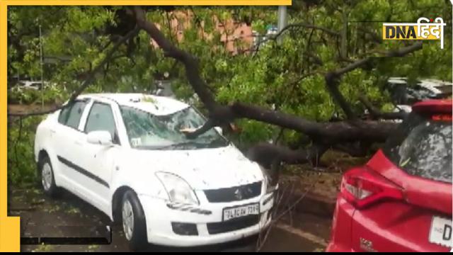 Delhi-NCR Rain: झूमकर हुई बारिश, कहीं जाम तो कहीं 100 किमी. रफ्तार से हवा ने पेड़ों को उखाड़ा