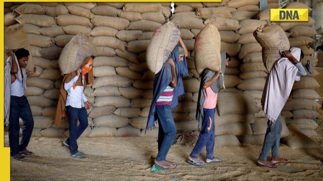DNA Explainer: Why Turkey rejected India's wheat consignment? - Vimarsana News