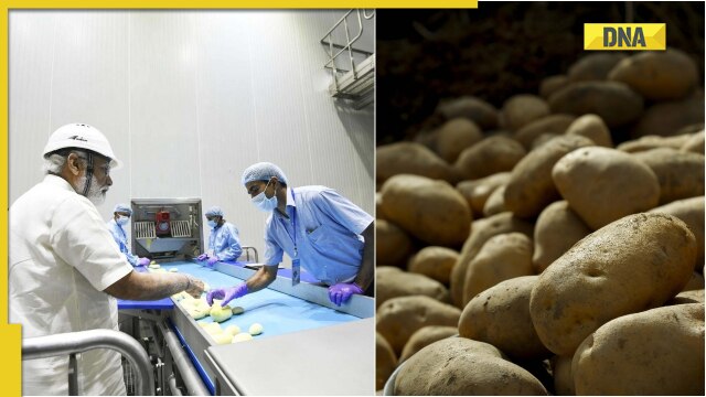 DNA Explainer: How Gujarat turned the game around for India in exporting French fries - Vimarsana News