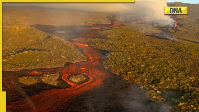 Scientists develop new volcano forecasting system, successfully predict eruption 5 months in advance - Vimarsana News