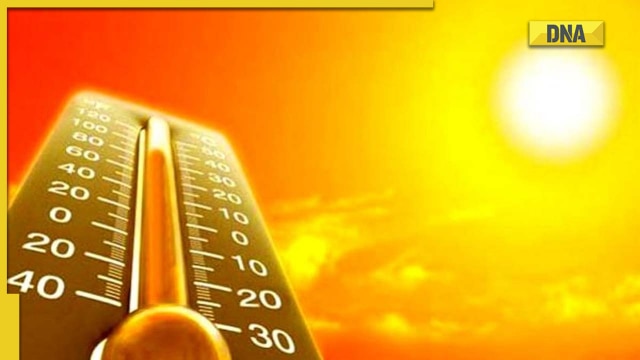 Weather forecast: Delhi sees highest number of heatwaves in 12 years, rains in Mumbai today - Vimarsana News