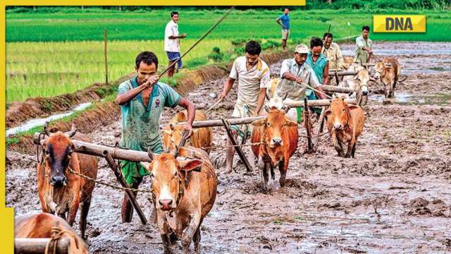 Centre hikes MSP for kharif crops by Rs 92 to Rs 523 per quintal for 2022-23 - Vimarsana News