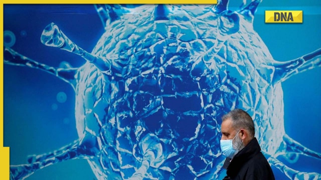 How Covid-19 virus originated, here's what WHO says - Vimarsana News