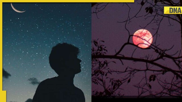 From watching 'Strawberry Moon' to spotting 5 planets in sky, here are some rare spectacles in June - Vimarsana News