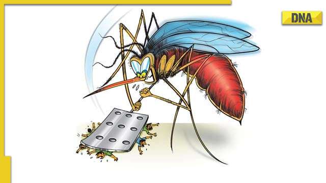 Scrub typhus: Second death reported in Kerala - Symptoms, prevention, treatment - Vimarsana News