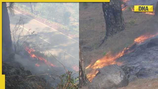 Jammu and Kashmir: Fire breaks out in Kanchi Mod forest area in Rajouri district - Vimarsana News