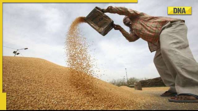 UAE prefers Indian wheat for its population, suspends re-exports for 4 months - Vimarsana News