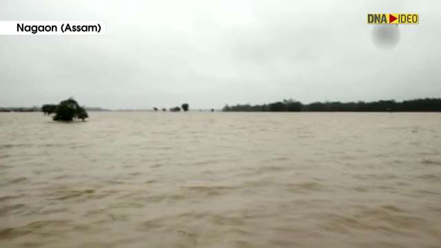 Assam Incessant Rains Trigger Flood Situation In Several Parts Of State