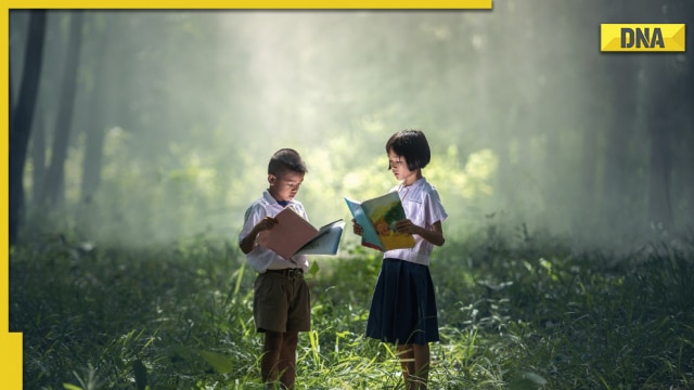 5 illustration books to see your children through summer holidays - Vimarsana News