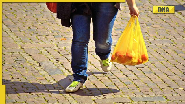 DNA Explainer: Single-use plastic ban in India from July 1, what it means for you - Vimarsana News